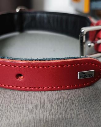 collare rosso hunter