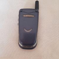 Motorola V51