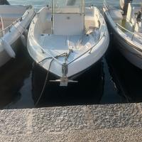 Fiart Marea 20 - Suzuki 40cv (Senza Patente) 