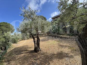 Terreno Agricolo Messina [Cod. rif 3331511VCG]
