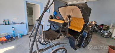 Carrozza da cavallo cappotta e sedili perfetti