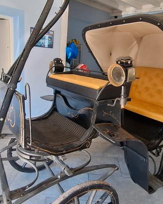 Carrozza da cavallo cappotta e sedili perfetti