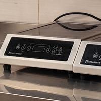 piastre ad induzione n.2 