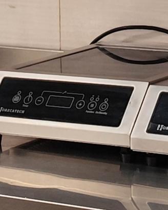 piastre ad induzione n.2 