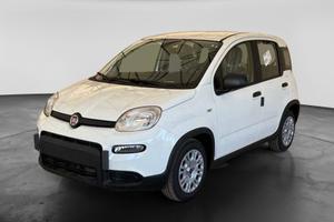 FIAT Panda III 2021 - Panda 1.0 firefly hybrid s&s