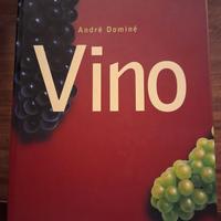 Il   vino nel mondo