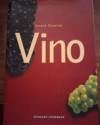 Il   vino nel mondo
