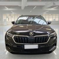 Skoda Karoq 2.0 TDI EVO SCR 115 CV DSG Executive