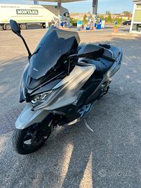 Cupolino sport faco
