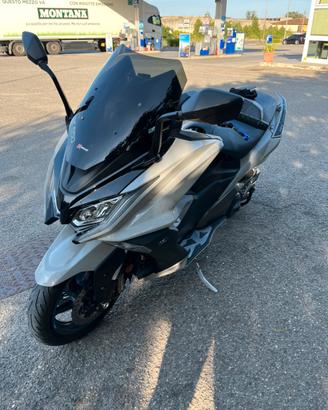 Cupolino sport faco