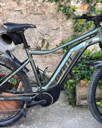 Montain bike Giant batteria