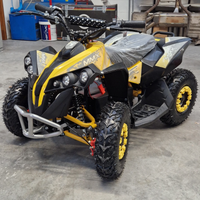 Mini Quad Big Elettrico Bambino Ruota 6" NUOVO