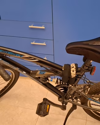 bicicletta 