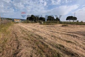 Terreno - Vittoria
