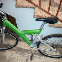 bicicletta Pinin farina verde