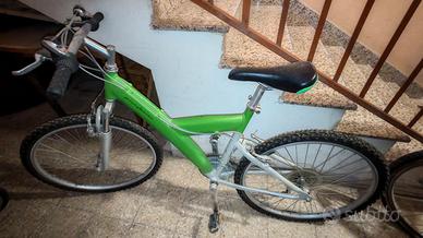 bicicletta Pinin farina verde