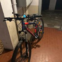 Mountain Bike front suspension