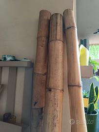 Canne di bambù decorative