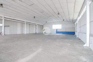 CAPANNONE A PALAZZO PIGNANO