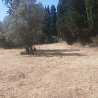 Campo pianeggiante lungo SP 15 Volterrana