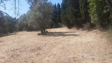 Campo pianeggiante lungo SP 15 Volterrana