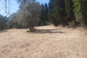 Campo pianeggiante lungo SP 15 Volterrana