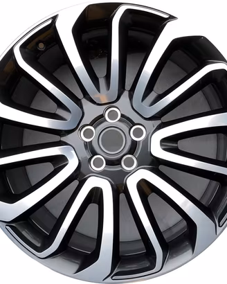 Cerchi per Range Rover da R22