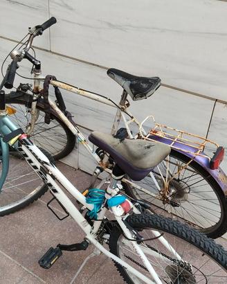 BICI RUBATA IN ZONA WALTHERPARK