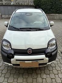 Fiat pandina