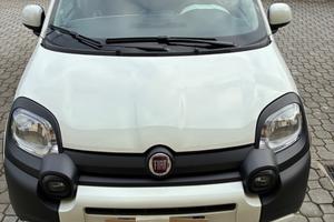 Fiat pandina