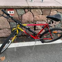 Bicicletta