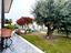 Immagine 21