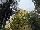 3-locali-a-bologna