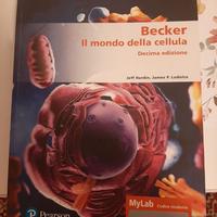 Libri università e Tolc testbuster