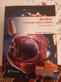 Libri università e Tolc testbuster