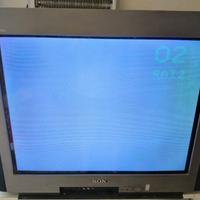 Televisione Sony, misure schermo 55X43 