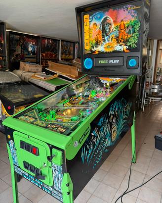 Flipper Congo