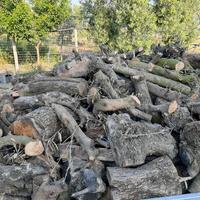 legna d ulivo da ardere