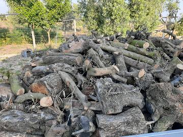 legna d ulivo da ardere