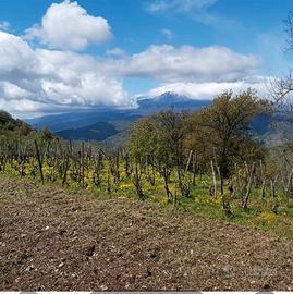 Terreno panoramico