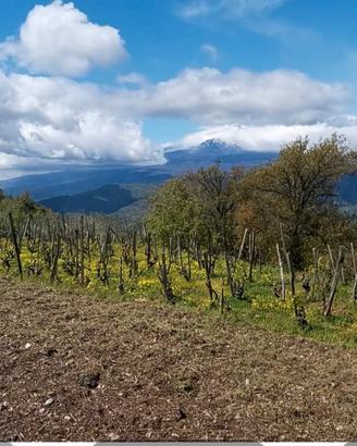 Terreno panoramico