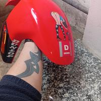 parafango anteriore derby gpr 50