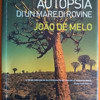 Autopsia di un mare di rovine ( Joao de Melo )