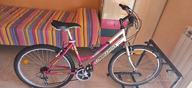 Bicicletta da passeggio