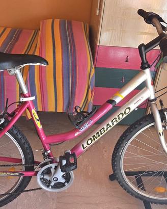 Bicicletta da passeggio