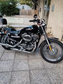 Harley sportster 1200 xl low 