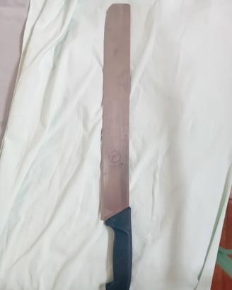 Coltello Bufalo - Banco Napoli