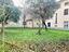 Immagine 28