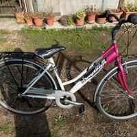 Bicicletta con cambio shimano