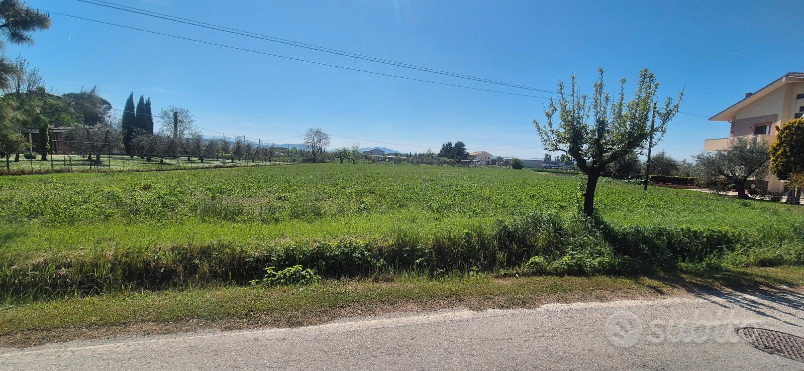 Terreno agricolo in pianura - Vista 3